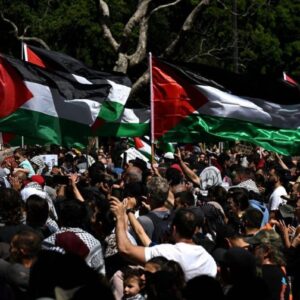 Palestine🇵🇸