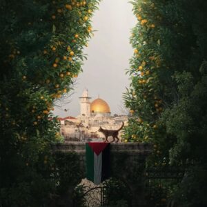 Heal Palestine with Zareefa Mahomed