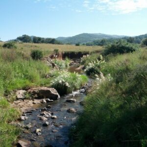 For Orphans & Vulnerable Children: Charity Week Hike in Johannesburg – Raeesa Ganey (CW24 RG)