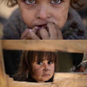 Love knows no borders: Building Dreams for Orphans in Gaza & around the World