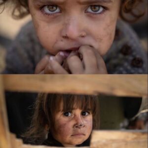 Ramadan 2025 – (Global Emergencies)